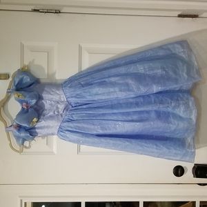 Disney Cinderella Gown